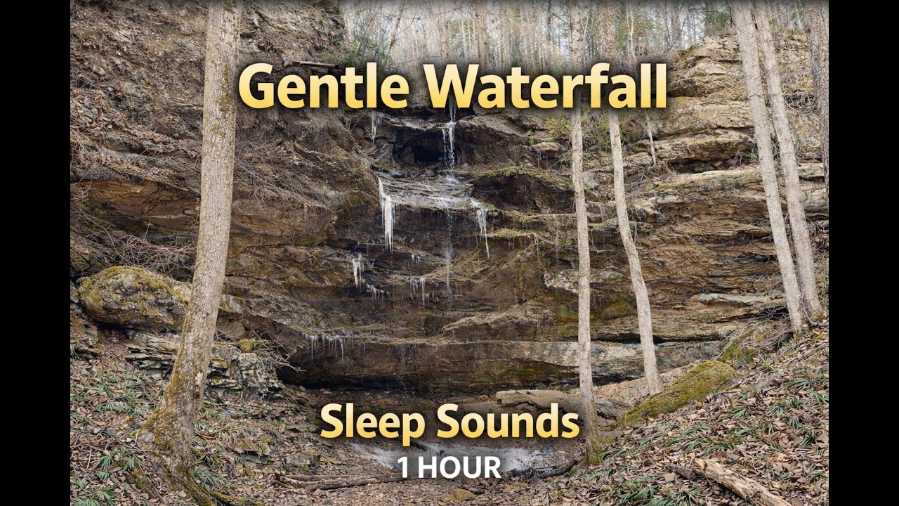 Peaceful Waterfall Sounds for Deep Sleep 🌙 | Hemlock Cliffs (1 Hour) | Hoosier National Forest