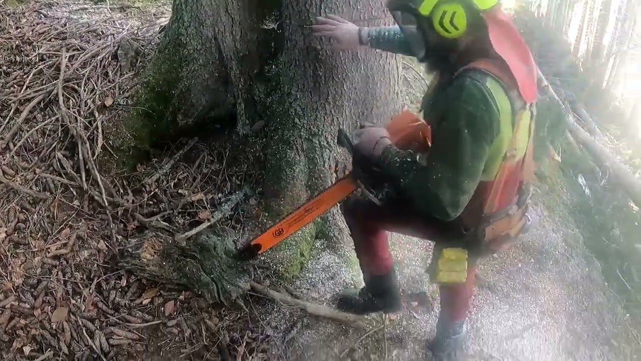 Holzfällen für Seilbahn Stihl 400c