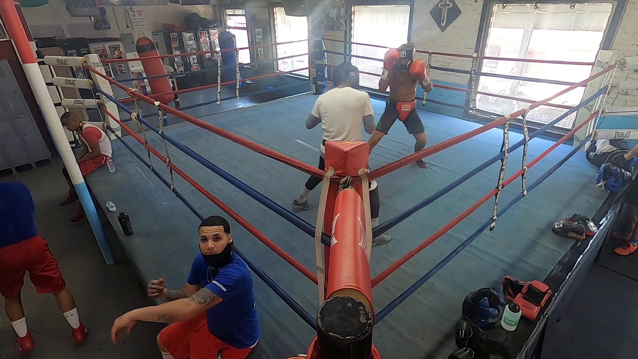 boxing monday sparring