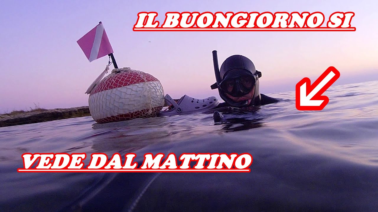 Pescasub: Il BUONGIORNO si vede dal MATTINO - Spearfishing