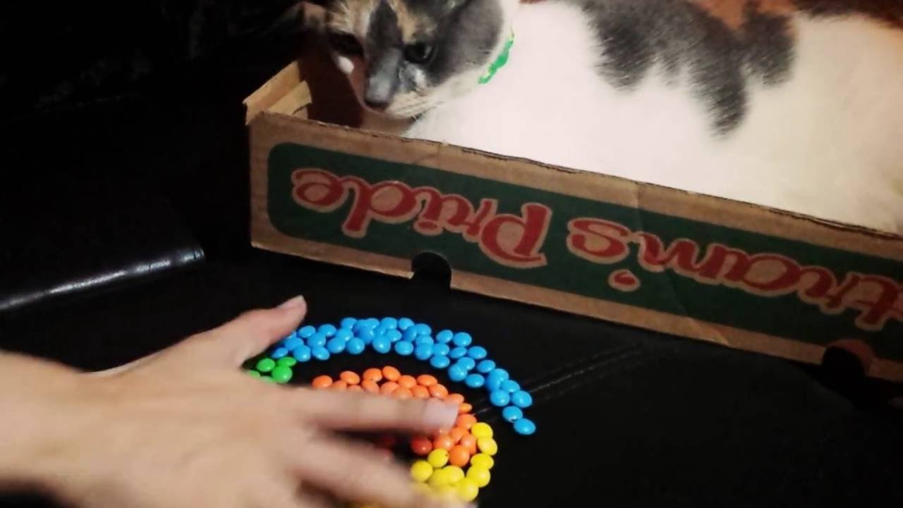 Skittlebug views the destruction of color order