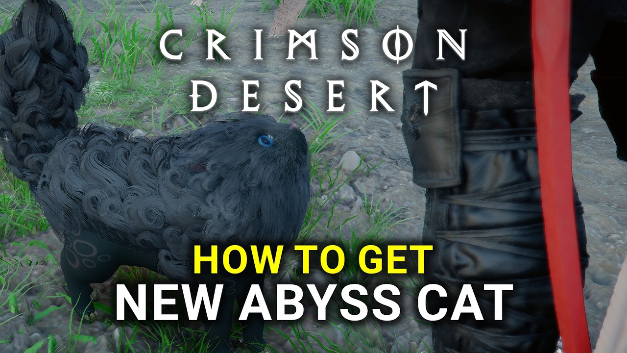 Crimson Desert - How to Get Abyss Heuklang Cat (New Abyss Pet)