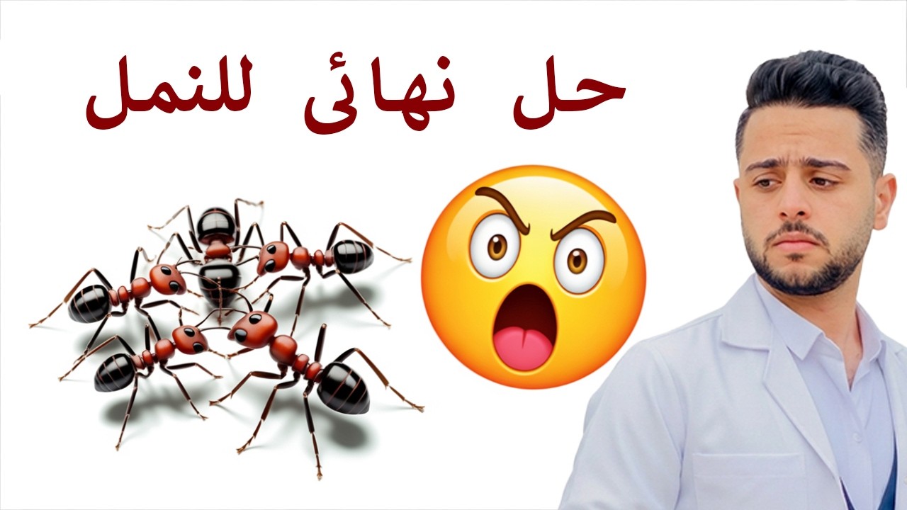 وصفة نهائية للتخل من النمل داخل وخارج المنزل امنه جدا