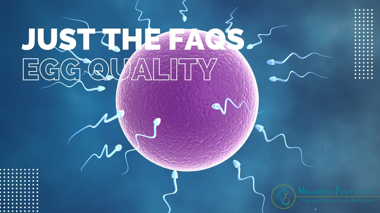 Just the FAQs: Egg Quality