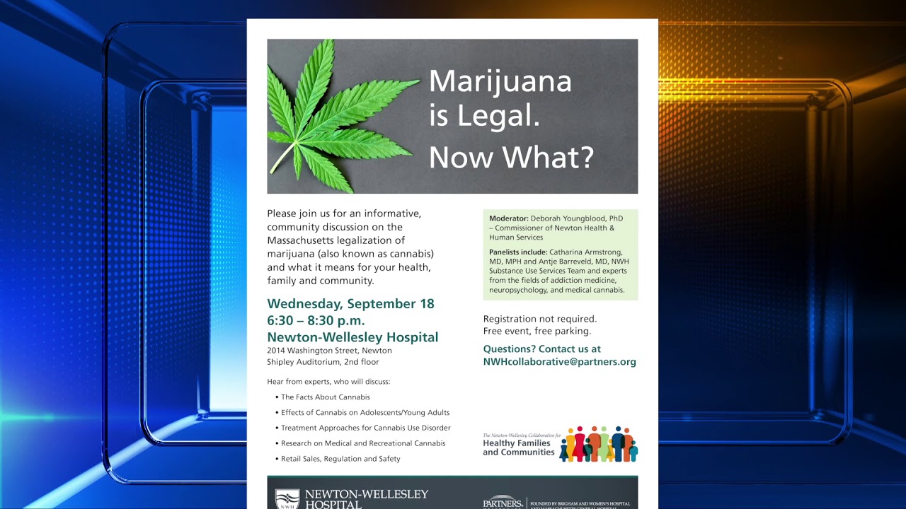 Marijuana is Legal  Now What?