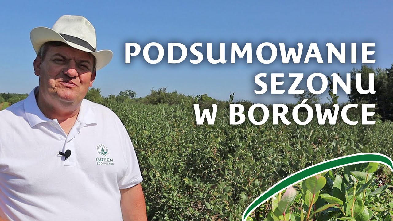 Podsumowanie sezonu w Błesznie, nawożenie borówki w sierpniu - Zbyszek Marek