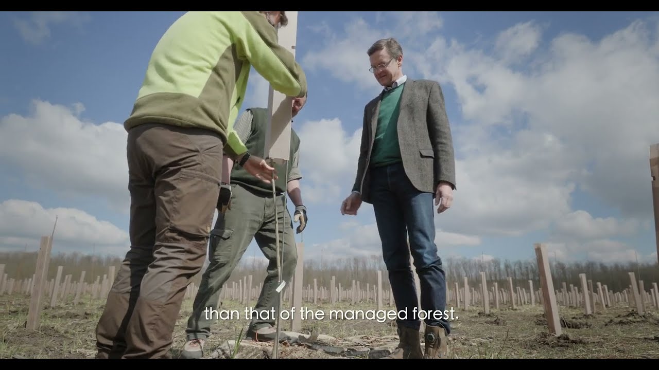 Liechtenstein Group Forestry Sector