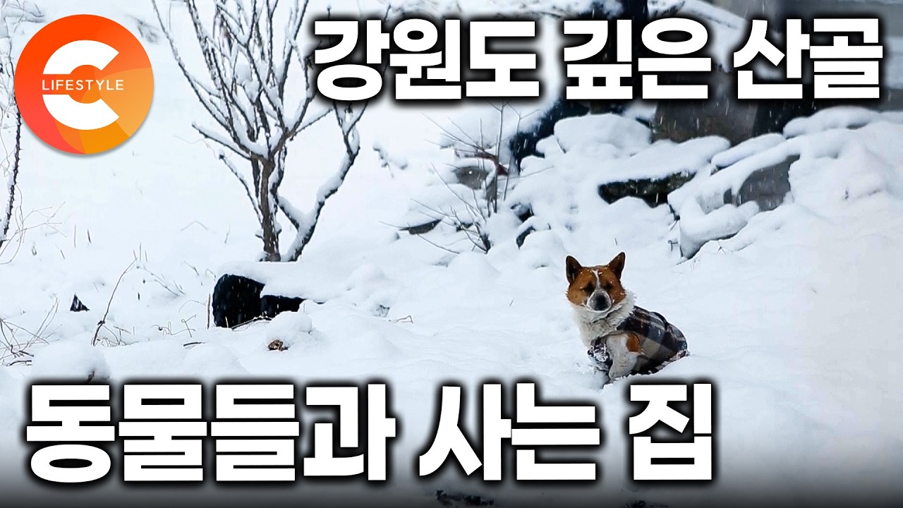 사람 없는 산골마을 외딴집, 할머니가 외롭지 않은 이유ㅣ할아버지가 떠나고 혼자 남은 집ㅣ#한국기행