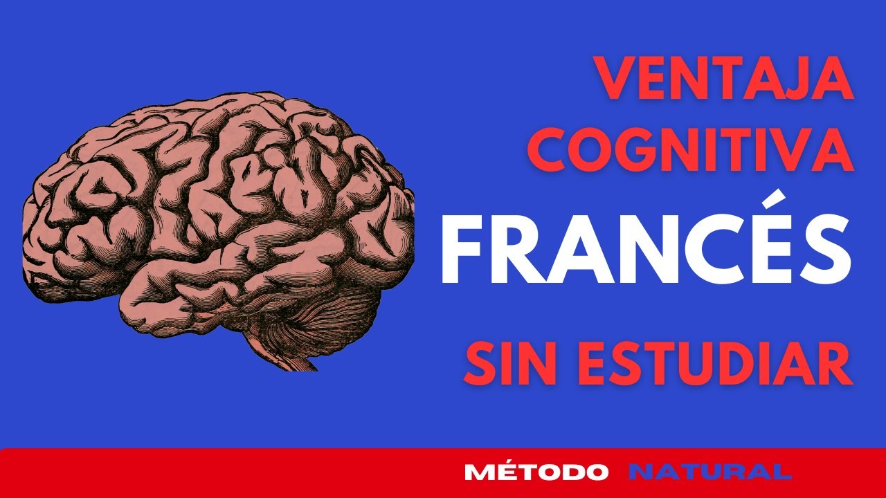 🇩🇪 Aprende Francés mientras trabajas | Método musical para activar tu cerebro🎶