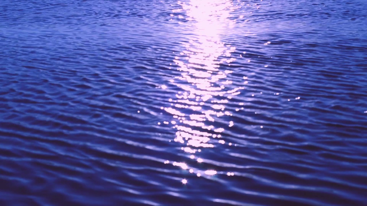 Giant ibis - Crystalline