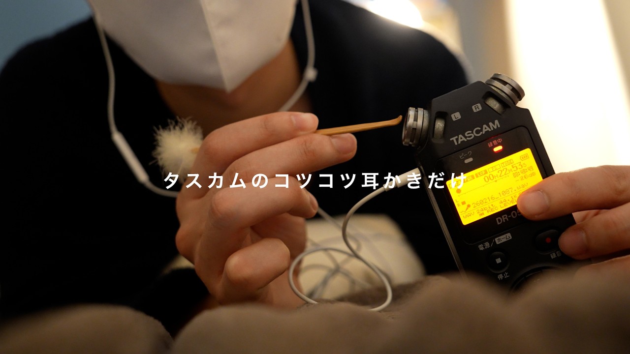 【ASMR】タスカムの柔らかいコツコツ音だけを出しながら囁く🌃 | 睡眠導入ASMR