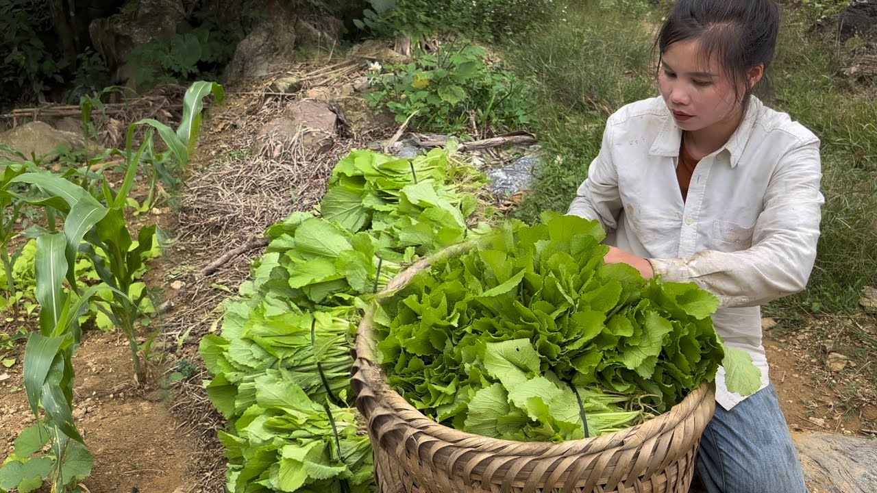 Selling mountain mustard greens and wild palm hearts &ndash; freshly picked from the forest