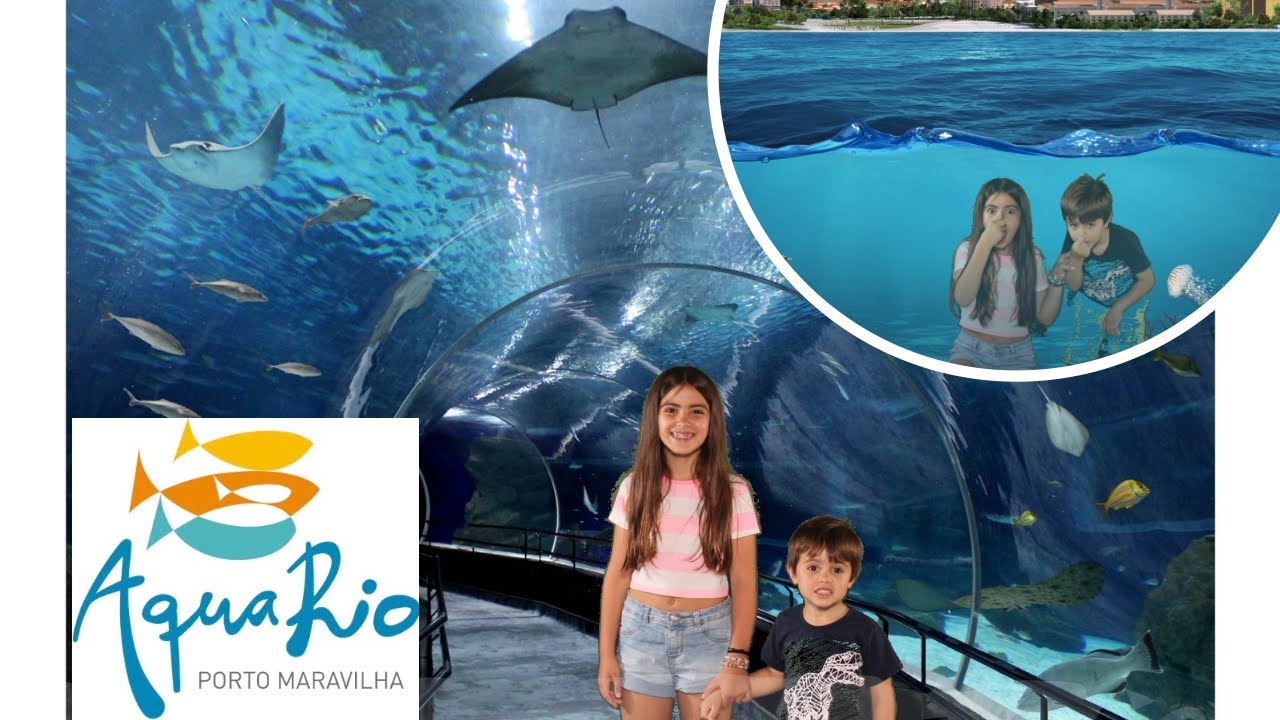 Visitamos o gigante Aquário do Rio de Janeiro. Peixes, tubarões, arraias, corais, fósseis e alegria!