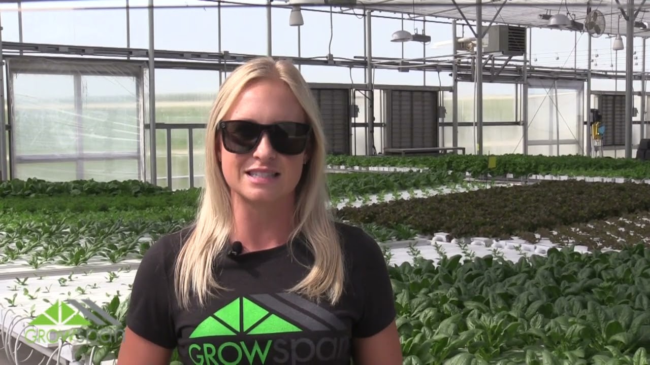 Biological Control &ndash; GrowSpan Greenhouse Tips