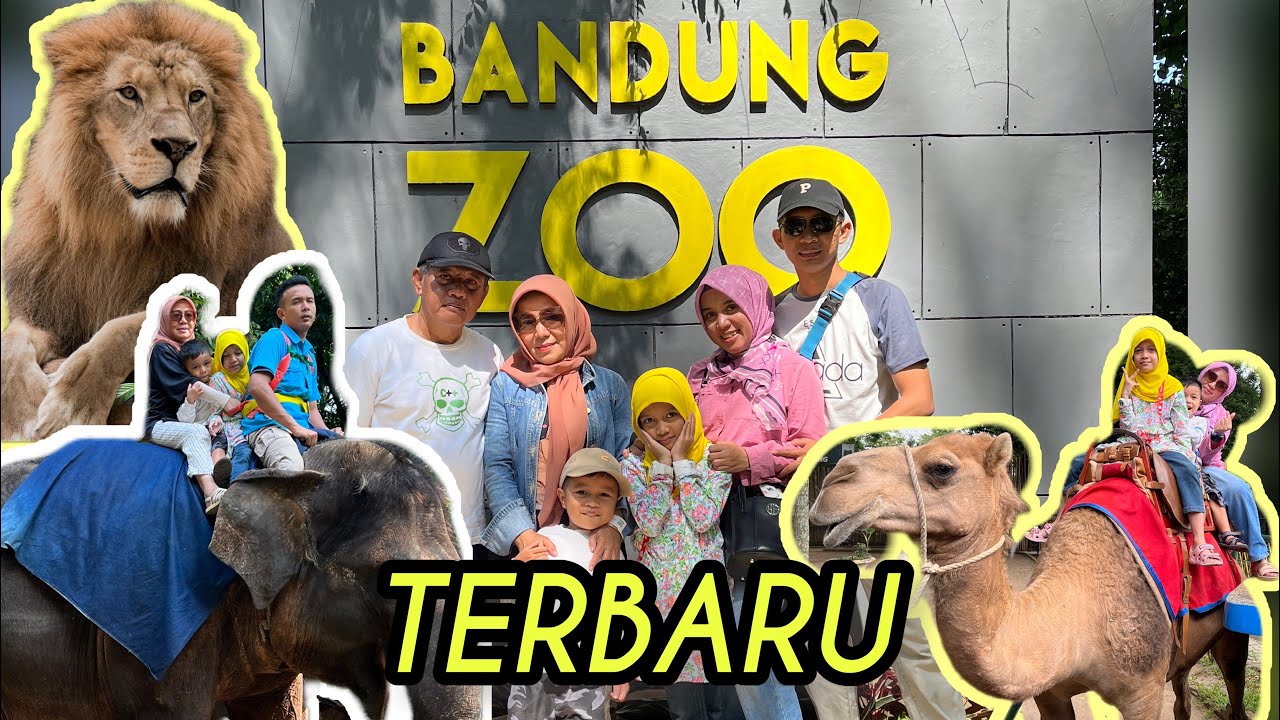 KEBUN BINATANG BANDUNG TERBARU 2023 | BANDUNG ZOOLOGICAL GARDEN