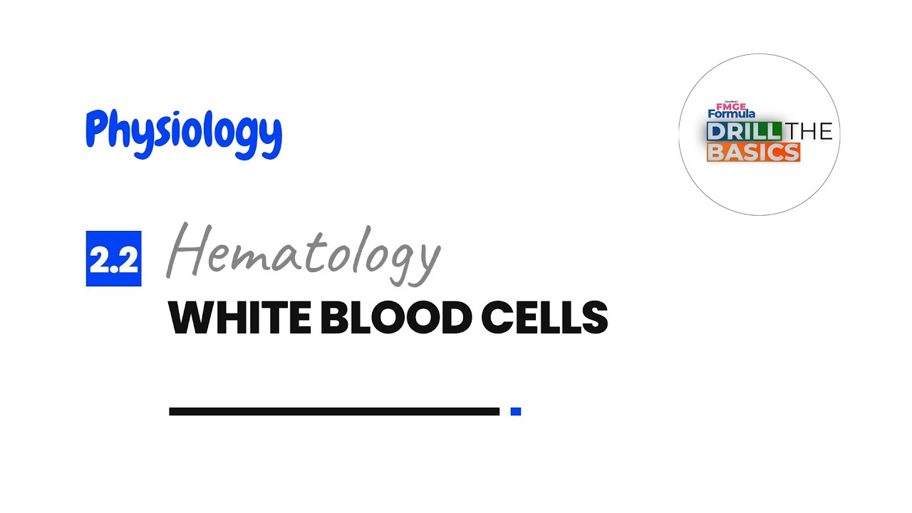 White Blood Cells - Hematology | Physiology | FMGE Formula Drill the Basics | DMA
