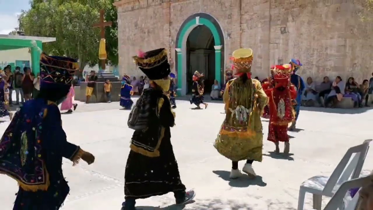 LOS CHINELOS en san juan tetelcingo 2020