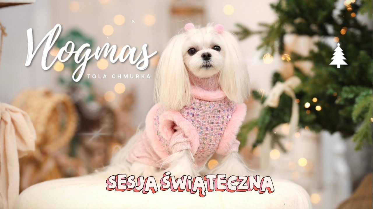 🎄🐶  VLOGMAS: ŚWIĄTECZNA SESJA ZDJĘCIOWA 🐶🎄 | TOLA CHMURKA