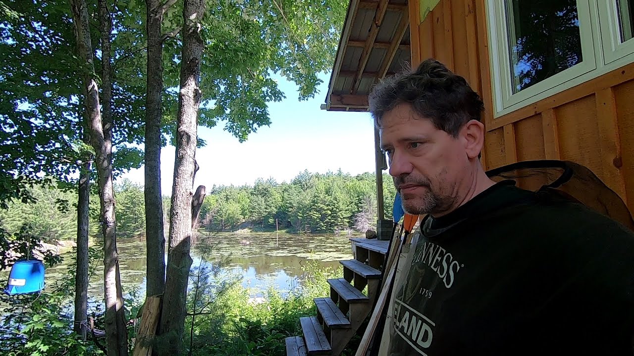 Willow Update || Trail Update || Livestream (Health) Update