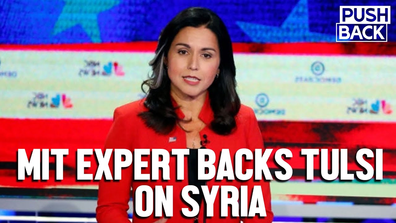 Top scientist denounces smears of Tulsi Gabbard on Syria