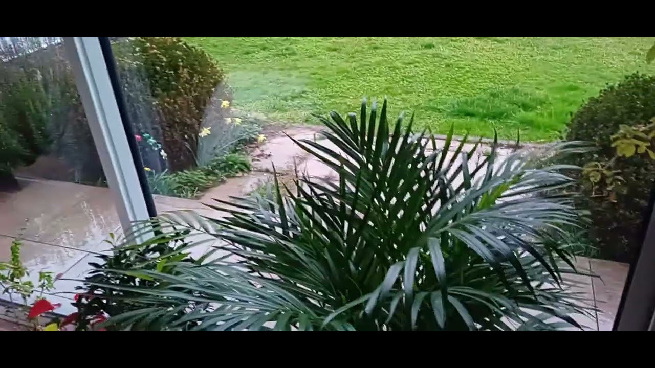 Nous sommes de plus en plus seuls, et c'est bien triste ....