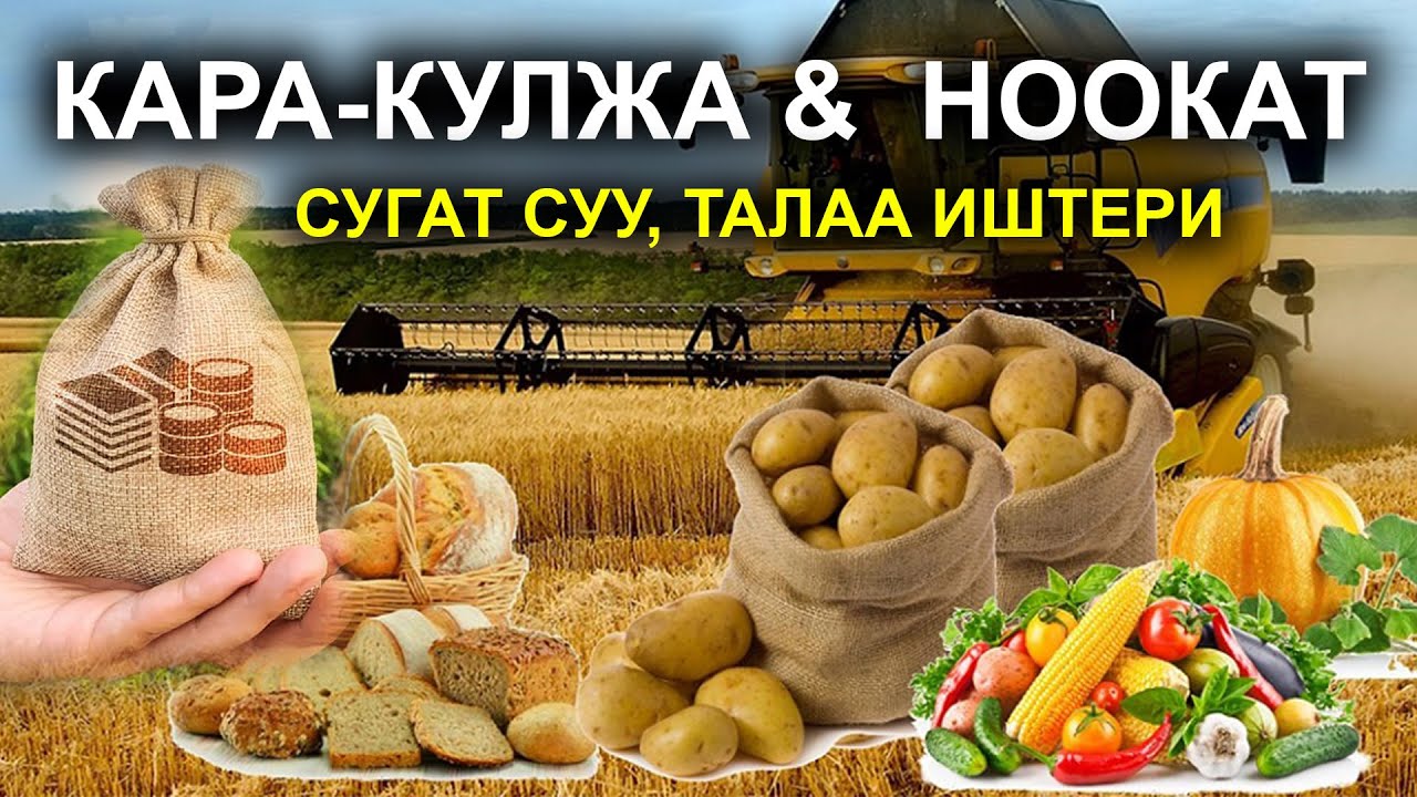 ЖАЗГЫ ТАЛАА ИШТЕРИ  /  АЙЫЛ-ЧАРБА ТАРМАГЫ