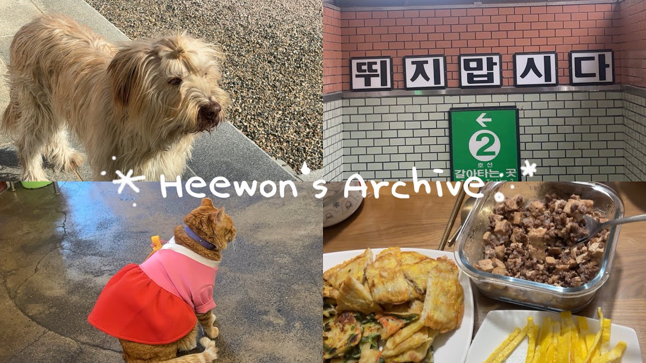 [한국 Vlog 2] 얼먹젤리 도난사건 • 경상도식 설보내는 방법 • 반년치 강아지 다 본 일상 • 강릉식 시오야끼 만들기