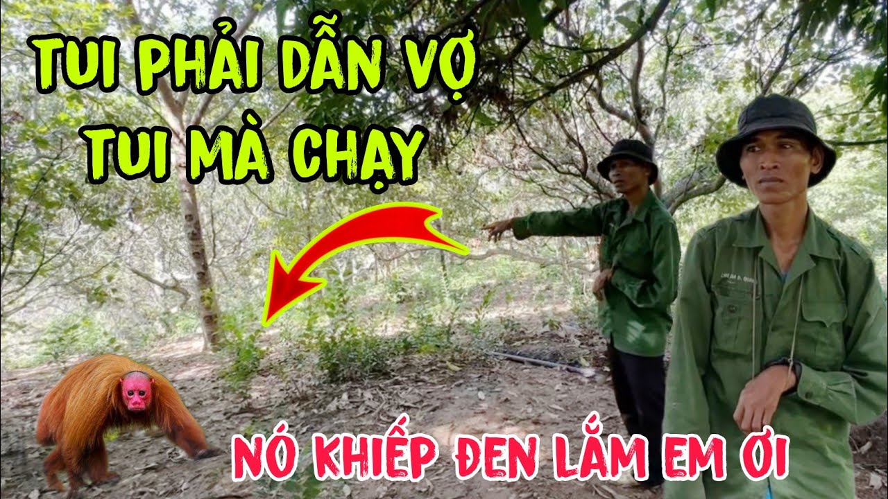 Nghe Một Tiếng Động Lạ, Anh Chiếu Đèn Và Thấy Điều Khiến Ai Cũng Rợn Gáy…