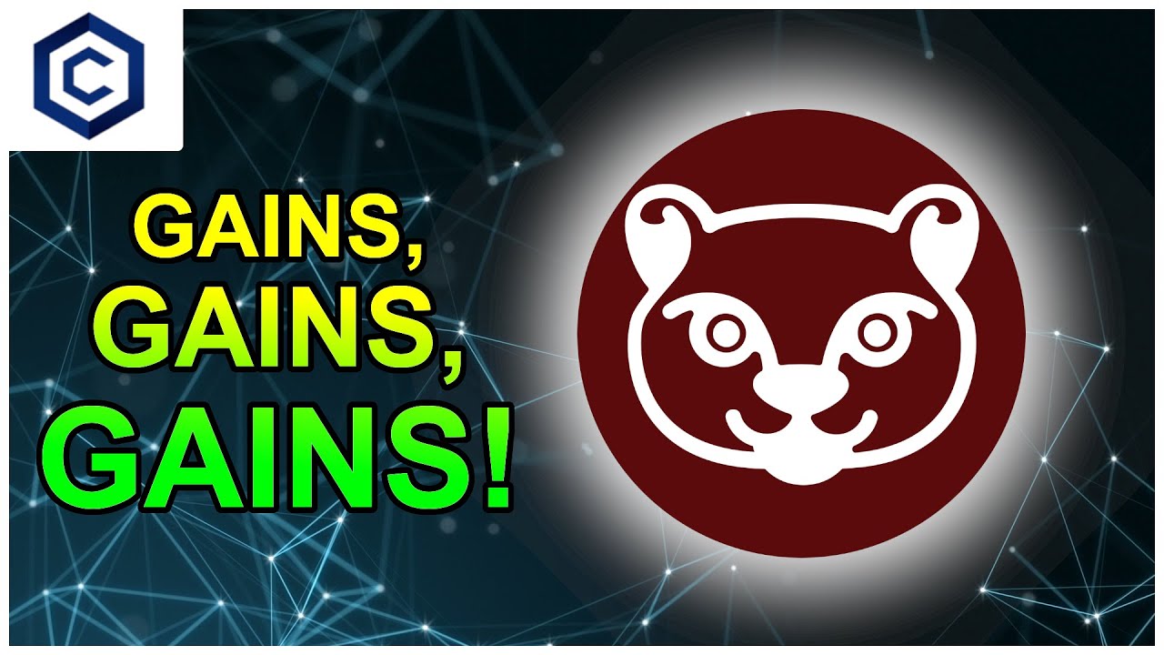 METF Finance - Best OHM FORK on Cronos!