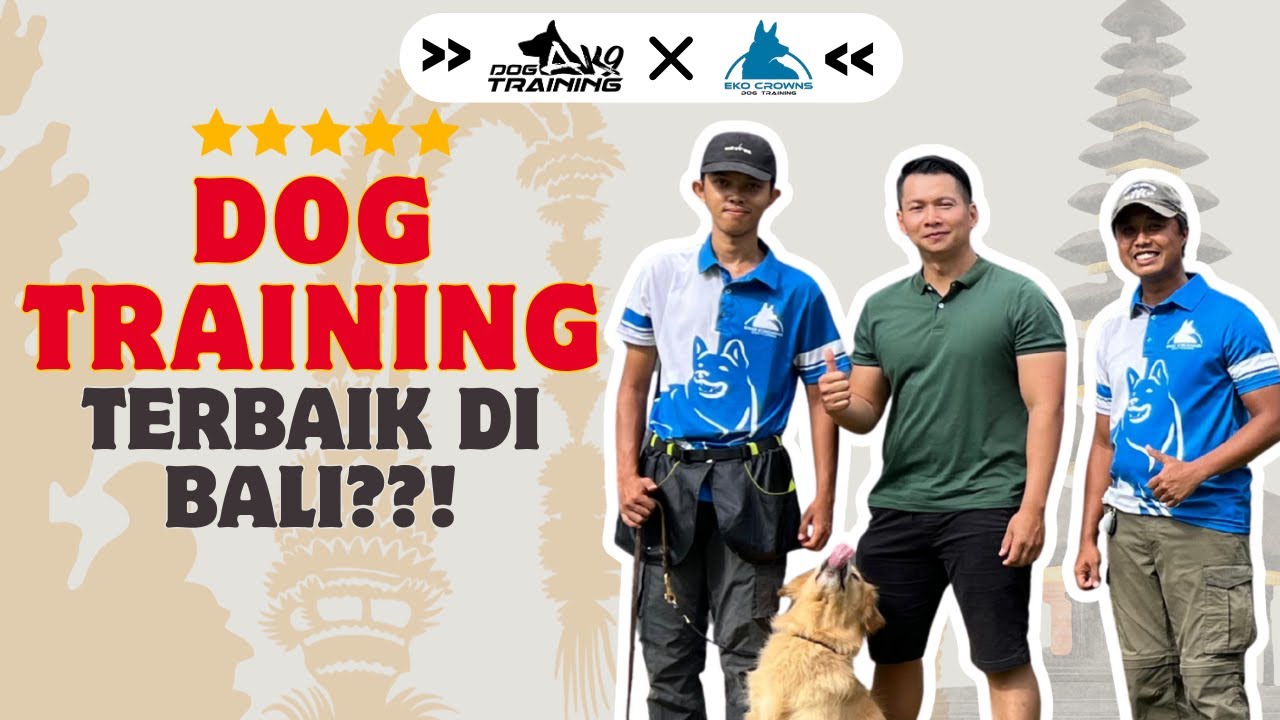 SIDAK DOG TRAINING TERBAIK DI BALI!!