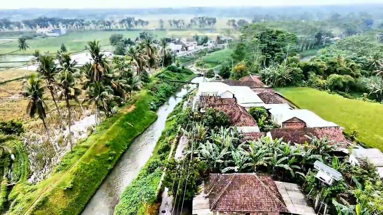 Bumi Persawahan Banjarwaru Lumajang 
