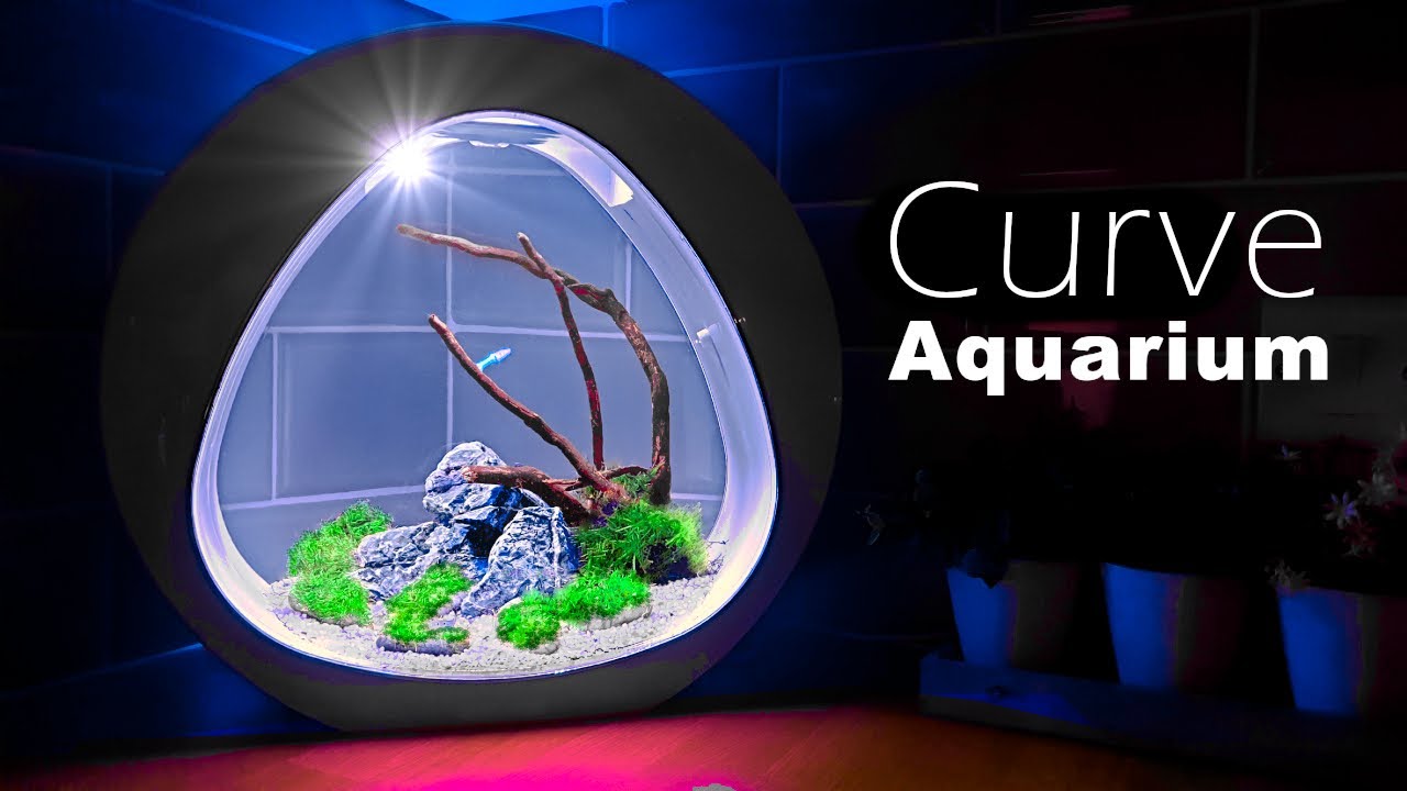 Stylish 3.5 Gallon - Nano Curve Aquarium Setup