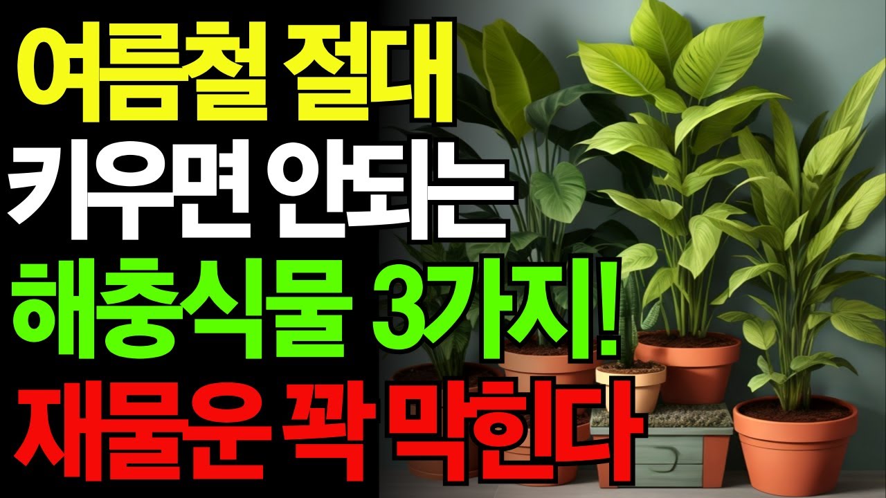 모르고 키우면 재물운 다 막힙니다｜벌레 부르는 식물 vs 돈 부르는 식물