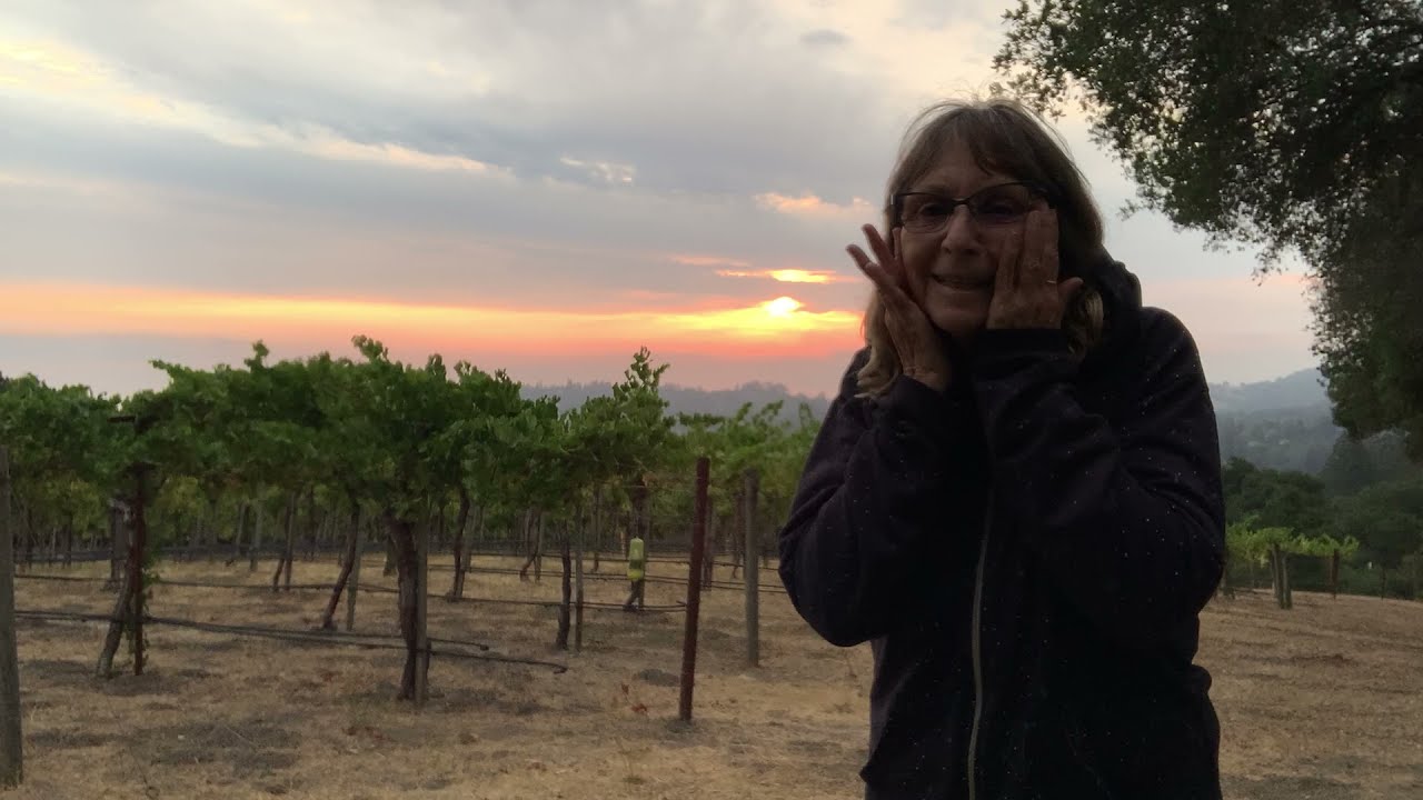 Mindful  braindance Short Vineyard