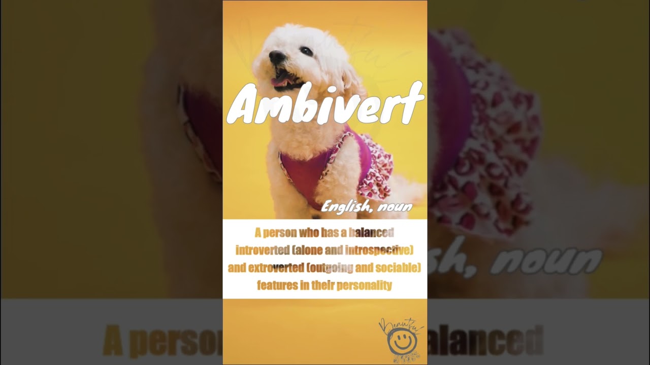 "AMBIVERT" - Do you lean towards introvert,  extrovert, or both? Comment down below.