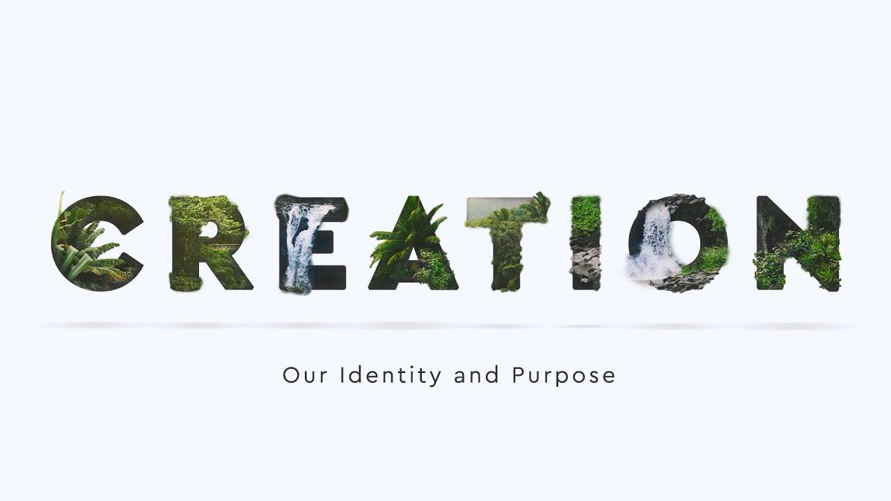 The Bible: A Story That Makes Sense of Life | Creation: Our Identity and Purpose | Genesis 1:1-2:3