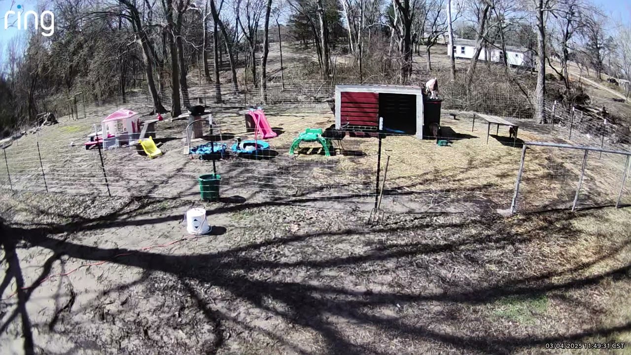 BruceLee falls in hay feeder 3-4