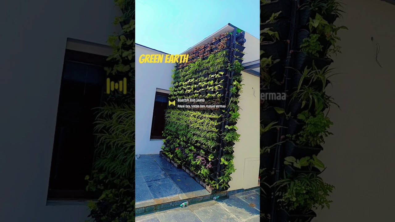 #vertical garden#natural#Green Earth landscape