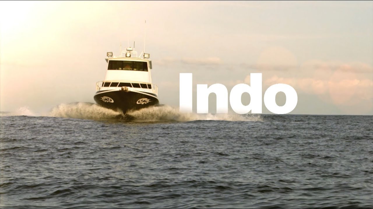 INDO