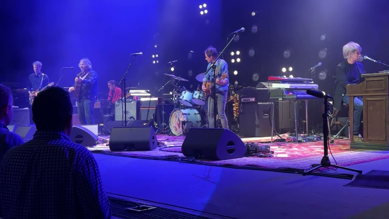 Wilco - Company in My Back