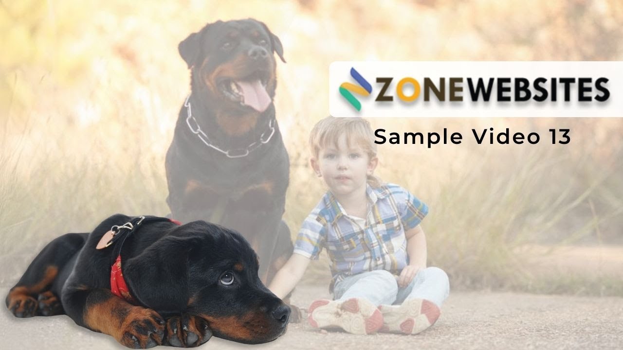 Sample 13 - Promo Video for Breeding, Training & Delivery of Rottweiler Puppies