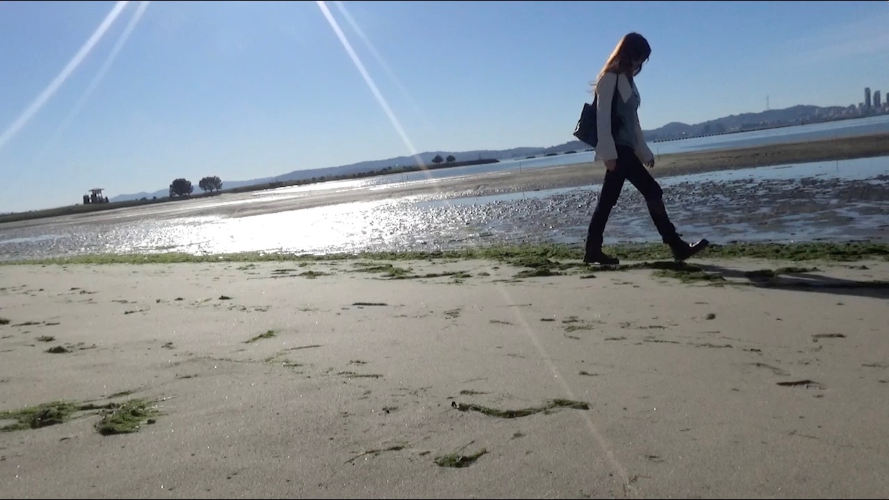 beach scenes
