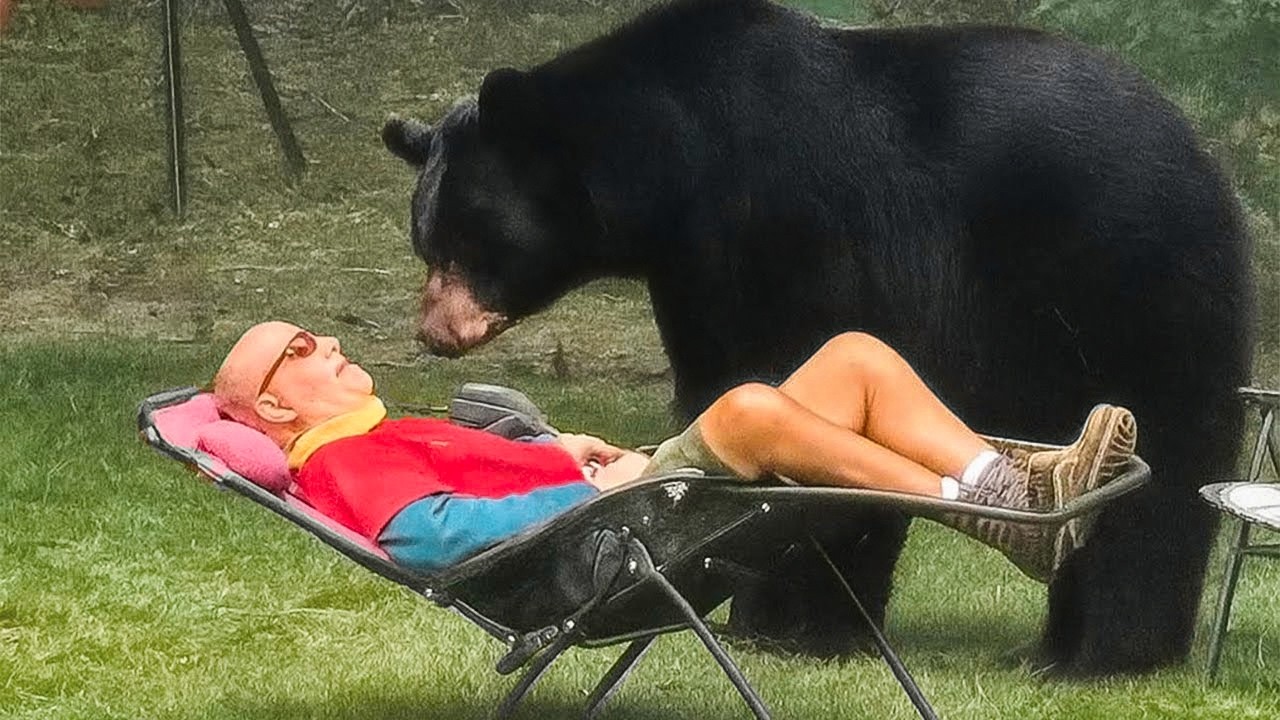 QUANDO OS ANIMAIS PENSAM QUE NINGUÉM ESTÁ OLHANDO 😂 EDIÇÃO DO QUINTAL