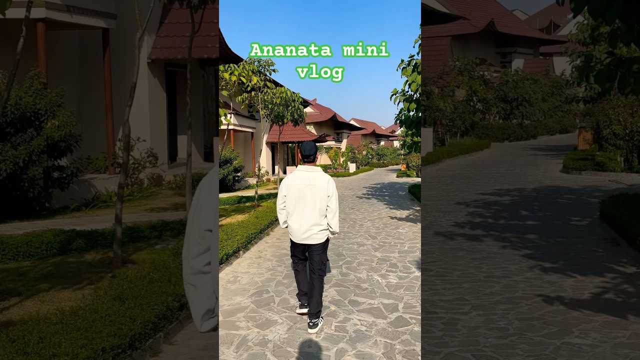 Mini vlog 