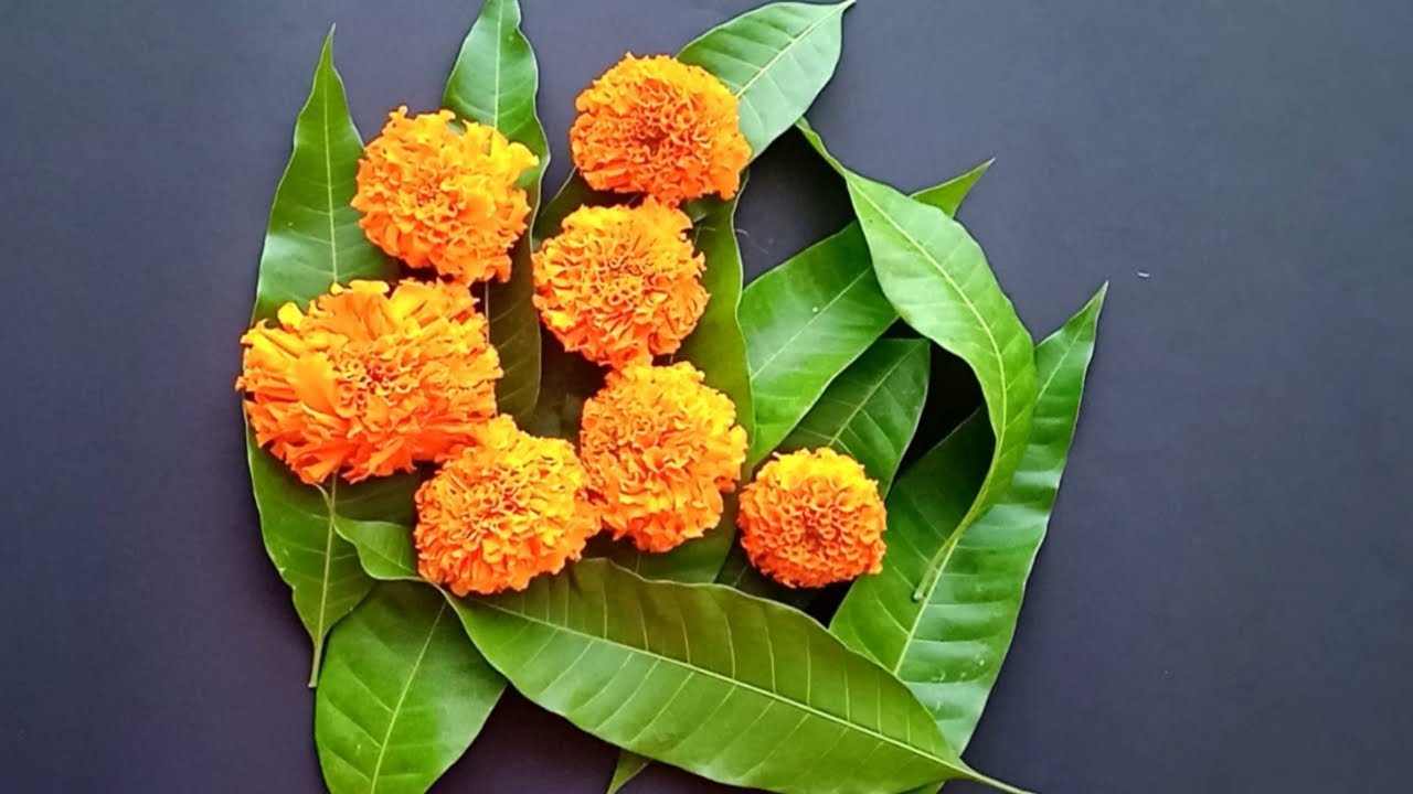 Diy Natural Flower & Leaves BOUQUETS/mango leaves & marigold flowers bouquet