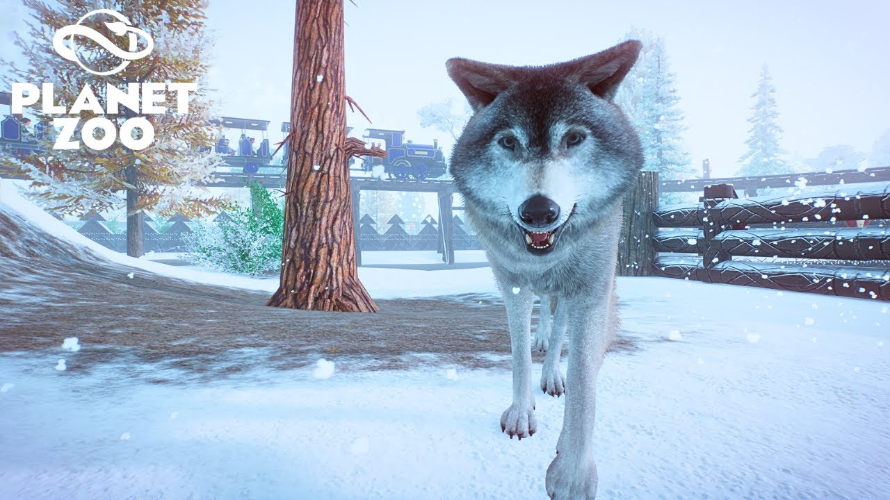 Making a Timber Wolf habitat in a Festive Winter Zoo