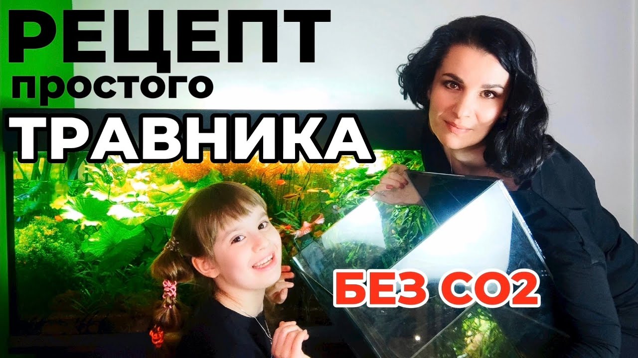 Рецепт простого в содержании аквариума травника без подачи СО2. Питание растений.