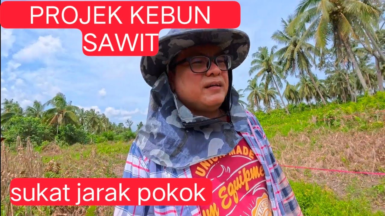 Membuat Ukuran Untuk Tanam Sawit, Kota Samarahan Sarawak