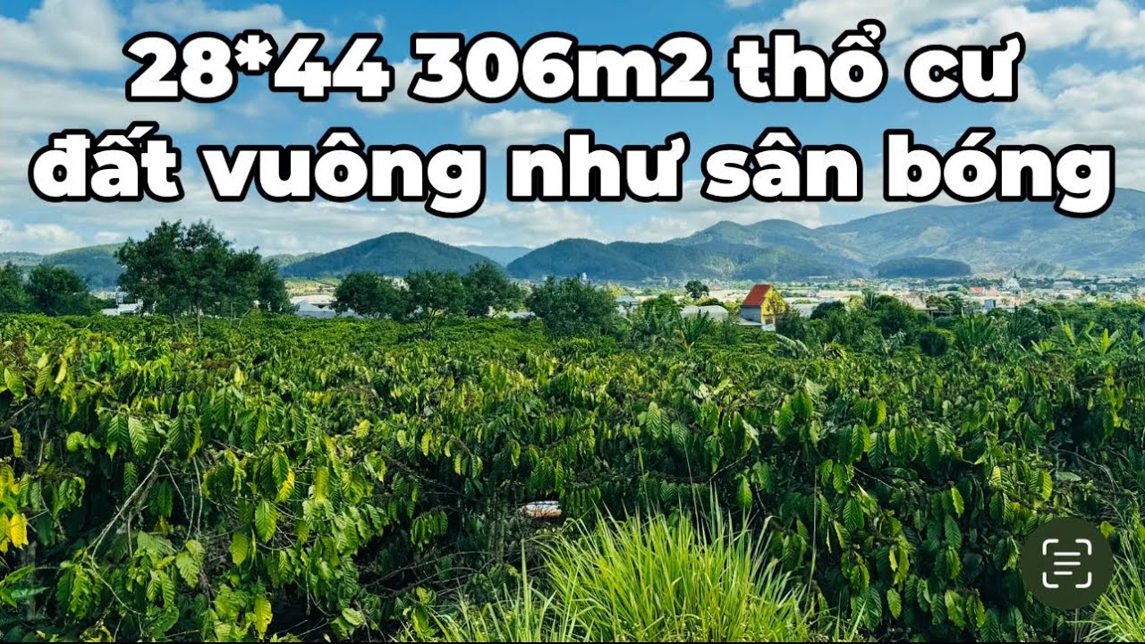 Lô đất vuông như sân bóng 28 x 44 cách trục nhựa 300m chỉ 2 tỷ 250 triệu | Đất ven Đà Lạt