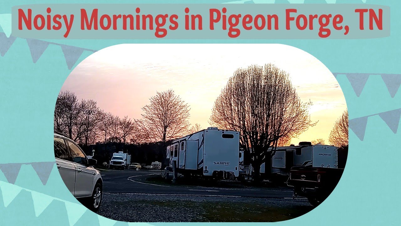 Noisy Morning // Rude Awakening While Camping
